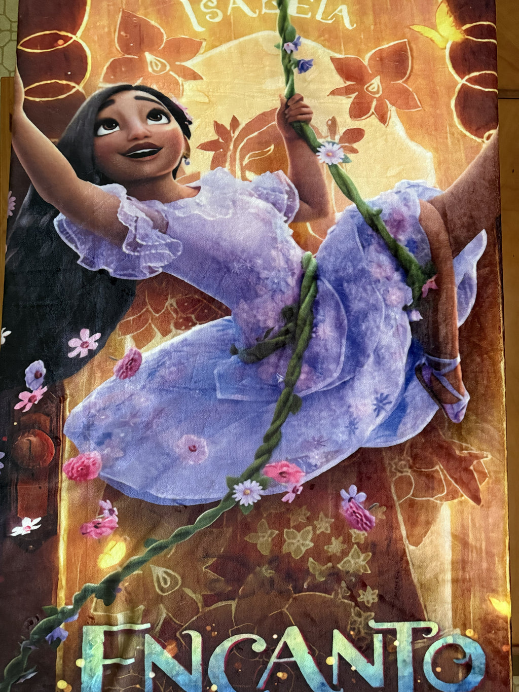 Disney Encanto 50x40 Blanket