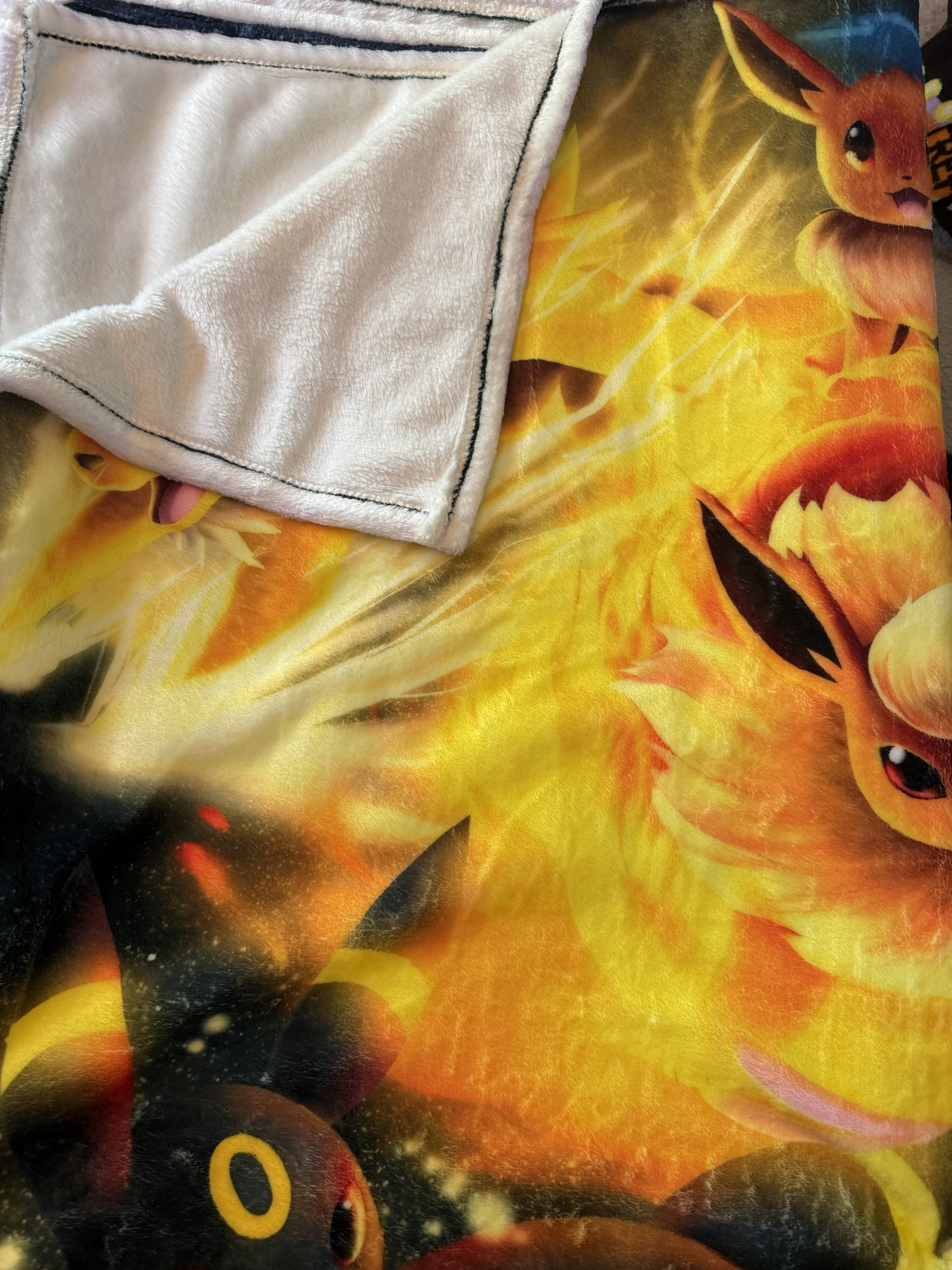 Pokemon 50x40Blanket